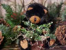 bear image