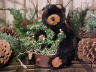 bear image