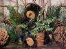 bear image