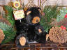 bear image