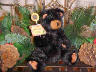 bear image