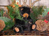 bear image