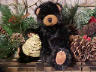 bear image