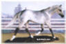 Secretariat